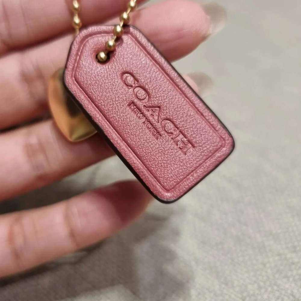 coach Nolita 19 In Signature Canvas With Stripe Heart Print CA796 - Picture 4 of 10